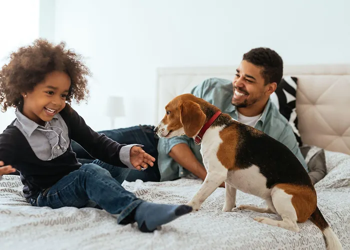 シタディーン アパートホテル ウィルソン アパートホテル